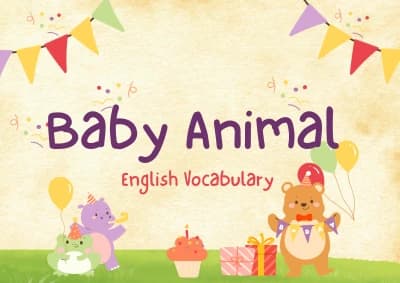 A baby animal vocabulary flashcard