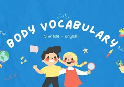 A body vocabulary flashcard