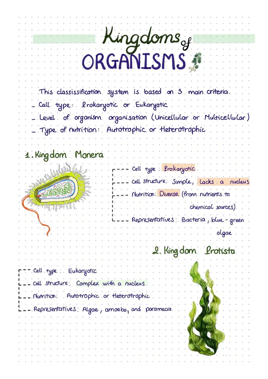 Kingdoms of organisms — a handwritten biology note made in CollaNote