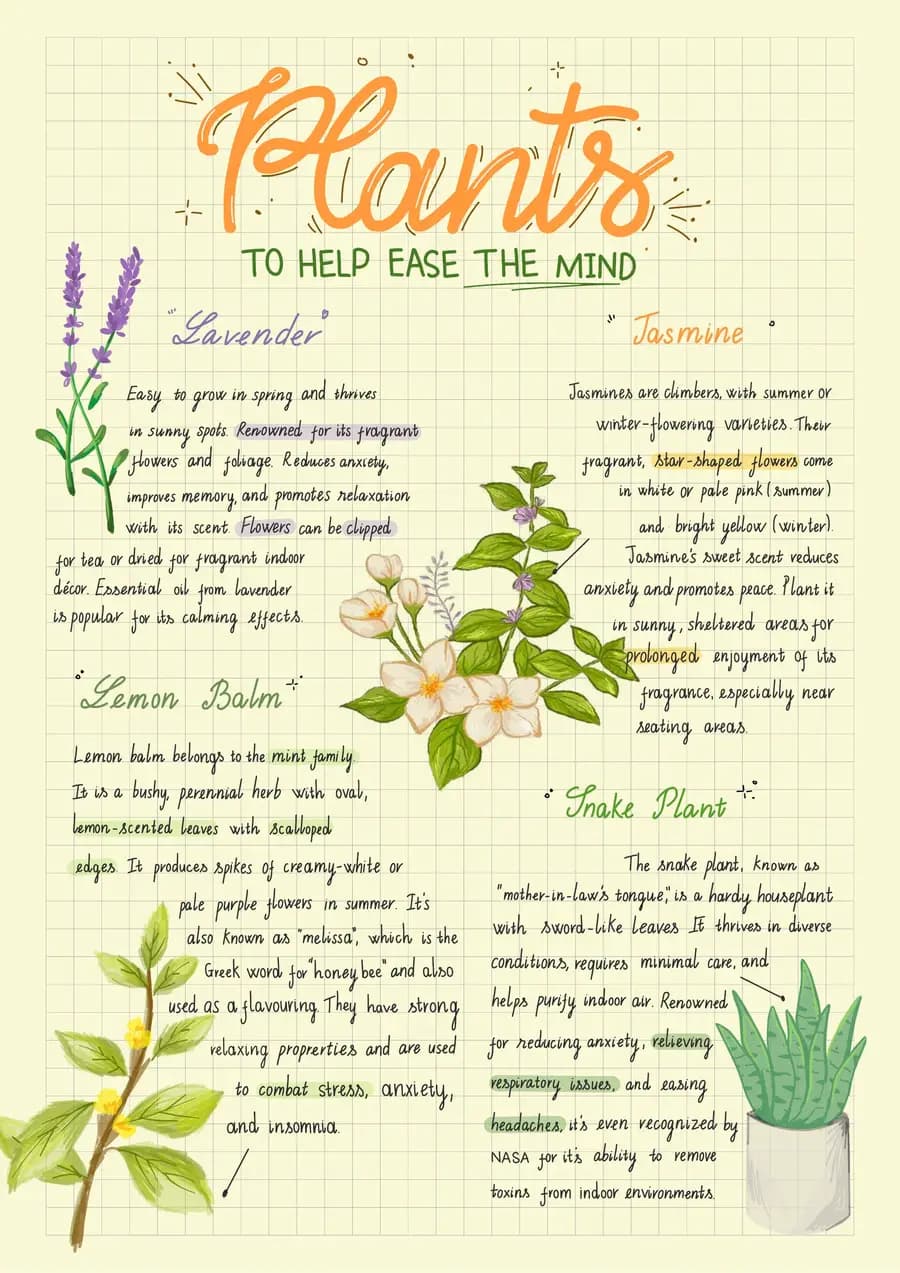 Plants to ease the mind — a handwritten biology note made in CollaNote